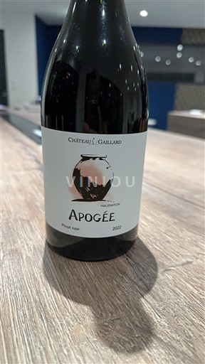 Vinos Rouge sec Apogée Château Gaillard 2022 Francia Valle del Loira Touraine AOC