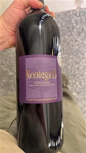 Tuscan Wines Unspecified Fattoria Lavacchio Fontegalli 2016