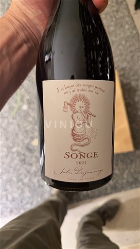 Beaujolais Beaujolais Villages Jules Desjourneys Songe 2021