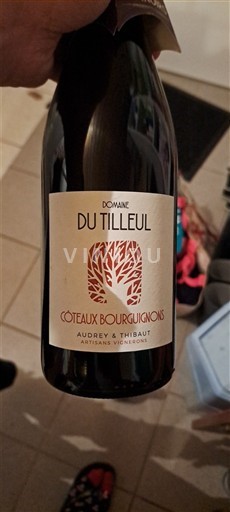 Borgogna Coteaux borgognoni Domaine Tilleul 2024