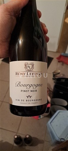 Burgundy Rémy Lefevre Pinot Noir 2023