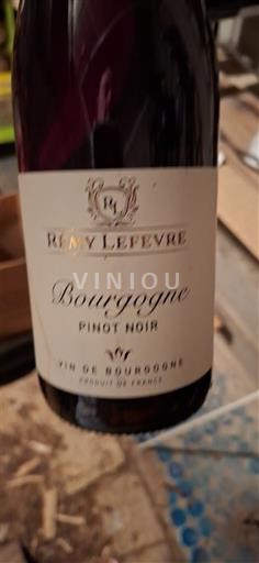 Burgundia Rémy Lefevre Pinot Noir 2023