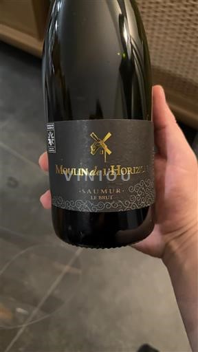 Loirevallei Saumur Moulin de l'Horizon Le Brut Niet-geïntegreerd