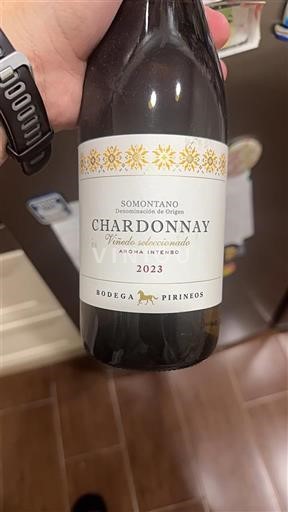 Aragonie Somontano Bodega Pirineos Viñedo Seleccionado 2023