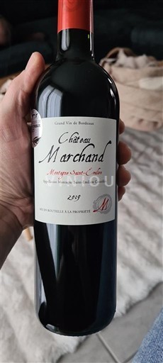 Bordeaux Montagne-saint-émilion Château Marchand 2019