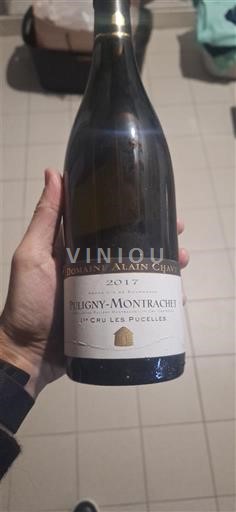 Bourgogne Puligny-montrachet Premier Cru Domaine Alain Chavy 1er Cru Les Pucelles 2017