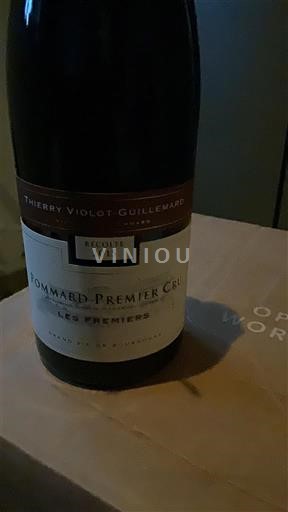 Borgoña Pommard Premier Cru Thierry Violot-Guillemard Les Fremiers 2015