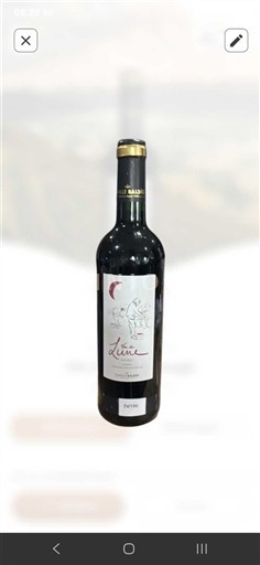 Marche Rosso Piceno Saladini Pilastri Luna 2024