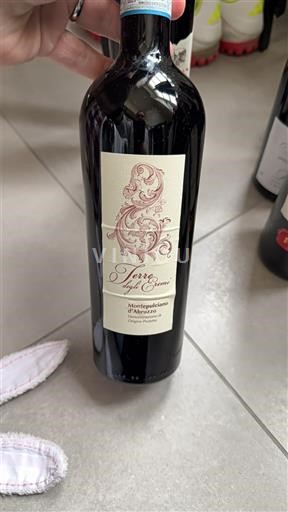 Abruzzo Montepulciano d'Abruzzo Terre dei Cimi 2022