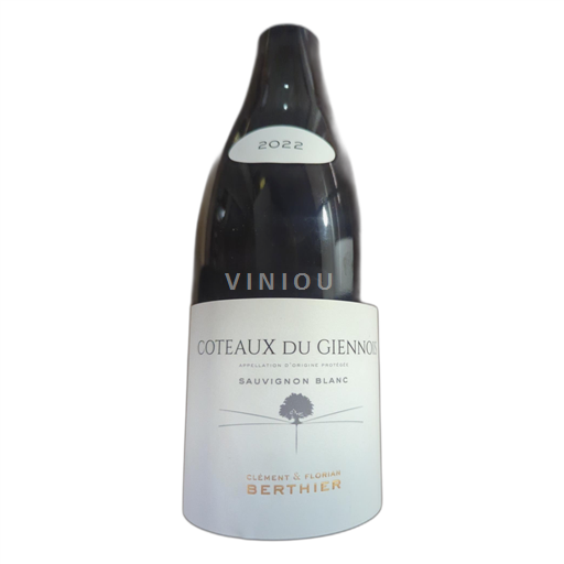 Údolí Loiry Coteaux du Giennois Clément & Florian Berthier Sauvignon Blanc 2022