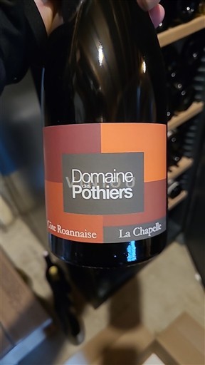 Valle della Loira Côte-roannaise Domaine S Pothiers La Chapelle 2022