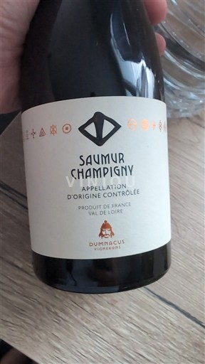 Loiren laakso Saumur-champigny Dumacus Vigneron Ei vuosikertaa