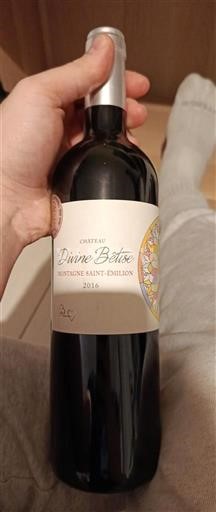 Bordeaux Saint-Émilion Château Divine Bêtise 2016
