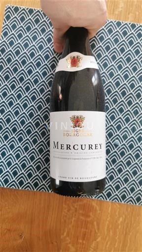 Burgundy Mercurey Domaine Bourgogne 2023