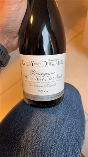 Borgoña No especificado Domaine Guy & Yvan Dufouleur Les Dames Huguettes 2018