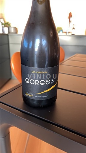 Loiren laakso Muscadet-sèvre-et-maine Domaine Les Vigneaux Domaine Bregeon Fred Lailler GORGES 2018