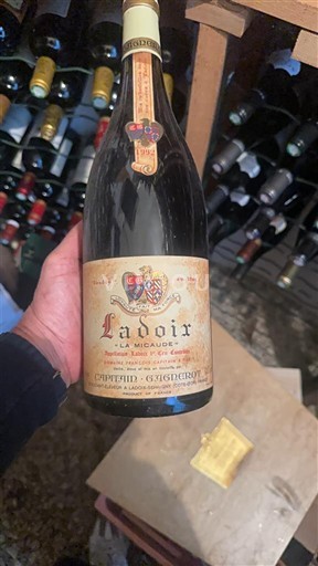 Burgundsko Ladoix Capitain-Gagnerot La Micaude Neročník