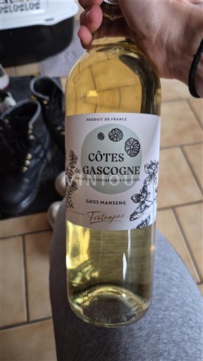 Sud-Ovest Côtes de Gascogne Tuttigourc 2023