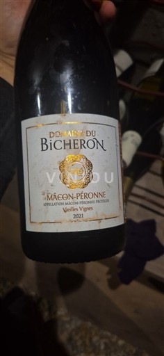Bourgondië Mâcon en mâcon-dorpen Domaine Bicheron Vieilles Vignes 2021