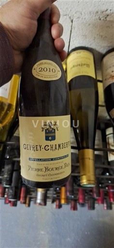 Borgogna Gevrey-Chambertin Pierre Bourée Fils 2010