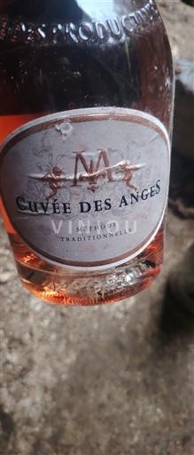 Loire Valley Crémant de Loire Maison Marcel des Anges Non-Vintage