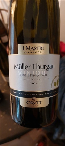 Wines of Trentino-Alto Adige Unspecified I MastrI Vernacoli 2024