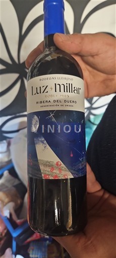 Castilien og León Ribera del Duero Bodegas LLeiroso Luz Millar Roble 2019