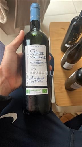 Bordeaux Côtes de Bordeaux Château Terre d'Aillyse 2019