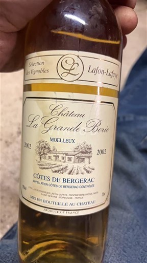 Sydvestfrankrig Côtes-de-bergerac Château La Grande Borie 2002