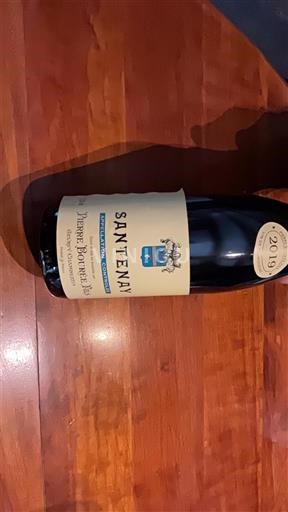 Burgundsko Santenay Domaine Borgeot 2019