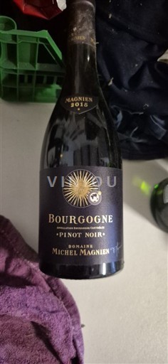 Bourgogne Domaine Michel Magnien 2015