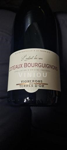 Borgogna Coteaux borgognoni Vignerons des Terres d'Or L'instant des sens 2023