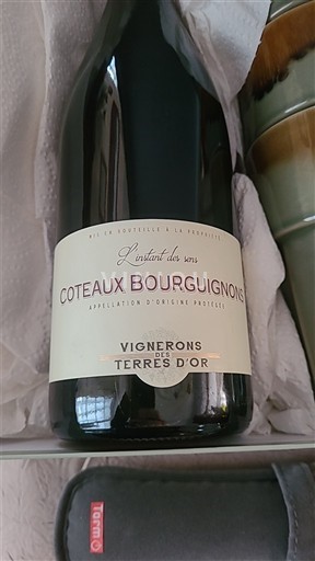 Burgundy Coteaux Bourguignons Vignerons des Terres d'Or L'instant des sens 2023