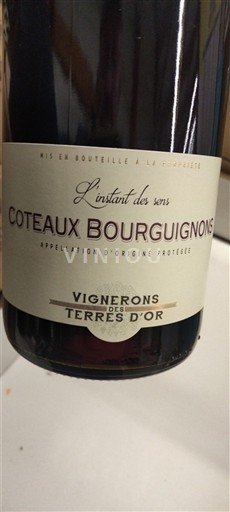 Bourgogne Coteaux bourguignons Vignerons des Terres d'Or L'instant des sens 2023
