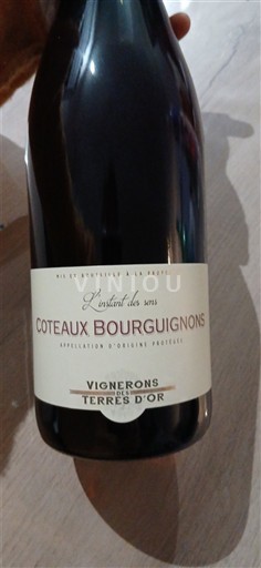 Burgund Burgundiske åssider Vignerons des Terres d'Or L'instant des sens 2023