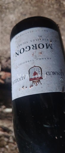 Beaujolais Morgon Auguste Arnould 2023