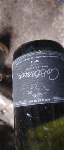 Loire Valley Crémant de Loire Coqueloux 2023