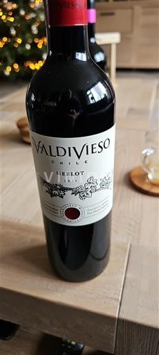 Vale do Maipo Maipo Central Valdivieso 2021