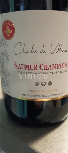 Thung lũng sông Loire Saumur-champigny Charles de Villeneuve 2022