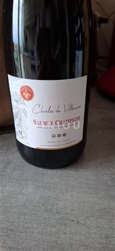 Vallée de la Loire Saumur-champigny Charles de Villeneuve 2022