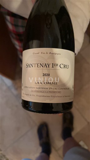 Burgundsko Santenay Premier Cru D. Chapelle & fils La Comme 2020