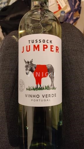 Portugalska Vinho verde Tussock Jumper 2024