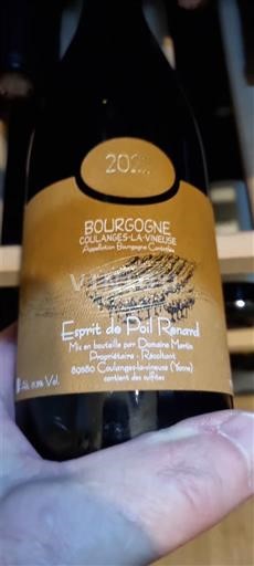 Burgundy Burgundy Coulanges-la-Vineuse Domaine Mielle Esprit de Poil Renard 2022