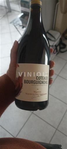 Borgogna Coteaux borgognoni Maison Maurice Gavignet 2023