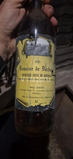 Bordeaux Prve obale Bordeauxa Domaine Darboulay 1985