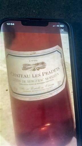 Sudoeste Não especificado Château Les Pradets 1996