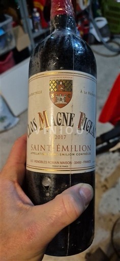 Bordeaux Saint-Émilion Clos Magne Figeac 2017