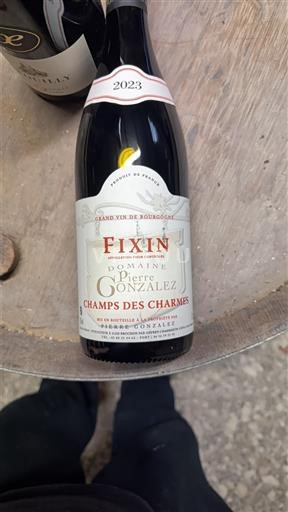 Bourgogne Fixin Domaine Pierre Gonza´lez Champs des Charmes 2023