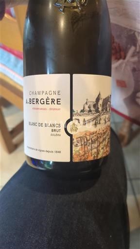 Champagne A. Bergère Blanc de Blancs Niet-geïntegreerd