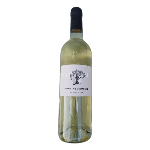Provenza, bassa valle del Rodano, Corsica Vaucluse Domaine de la royere Les oliviers 2020